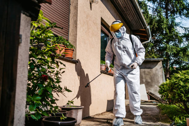 Best Emergency Pest Control  in Grandview, TX