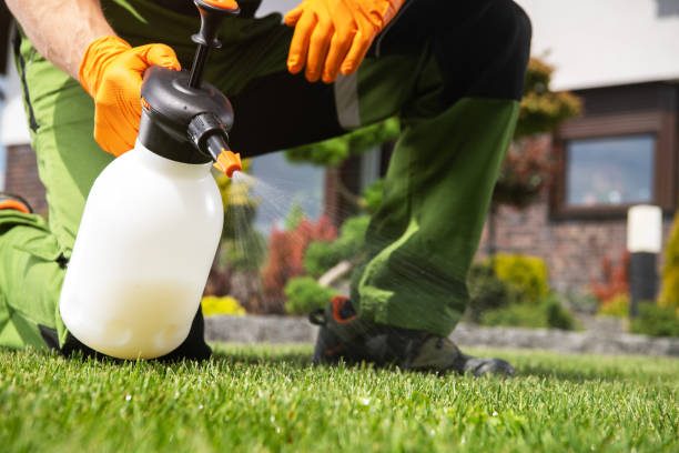 Best Pest Inspection Near Me  in Grandview, TX