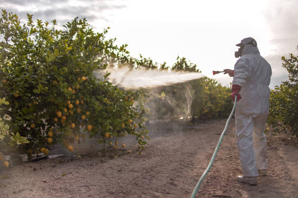  Grandview, TX Pest Control Pros