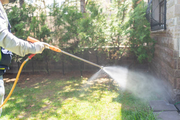 Professional Pest Control in Grandview, TX
