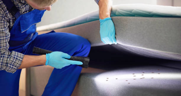 Best Affordable Pest Control Services  in Grandview, TX