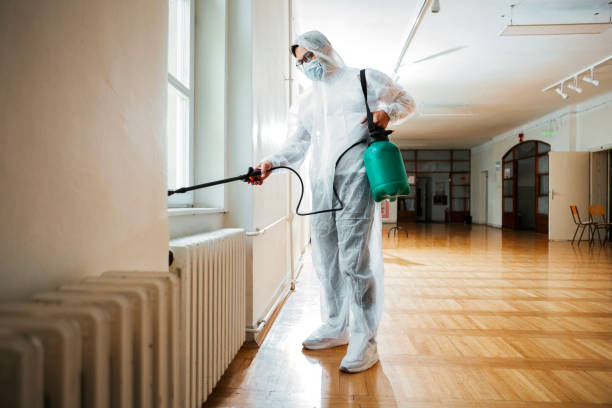 Best Flea Control Services  in Grandview, TX